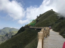 棧道平臺(tái)；圍欄-湖南防腐木批發(fā)