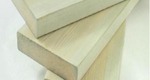 俄羅斯樟子松怎么樣？俄羅斯樟子松價(jià)格多少？