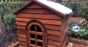 防腐木常見的樹種有哪些？