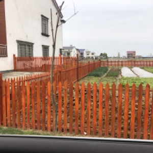 屈原管理區(qū)營(yíng)田鎮(zhèn)美化工程建設(shè)